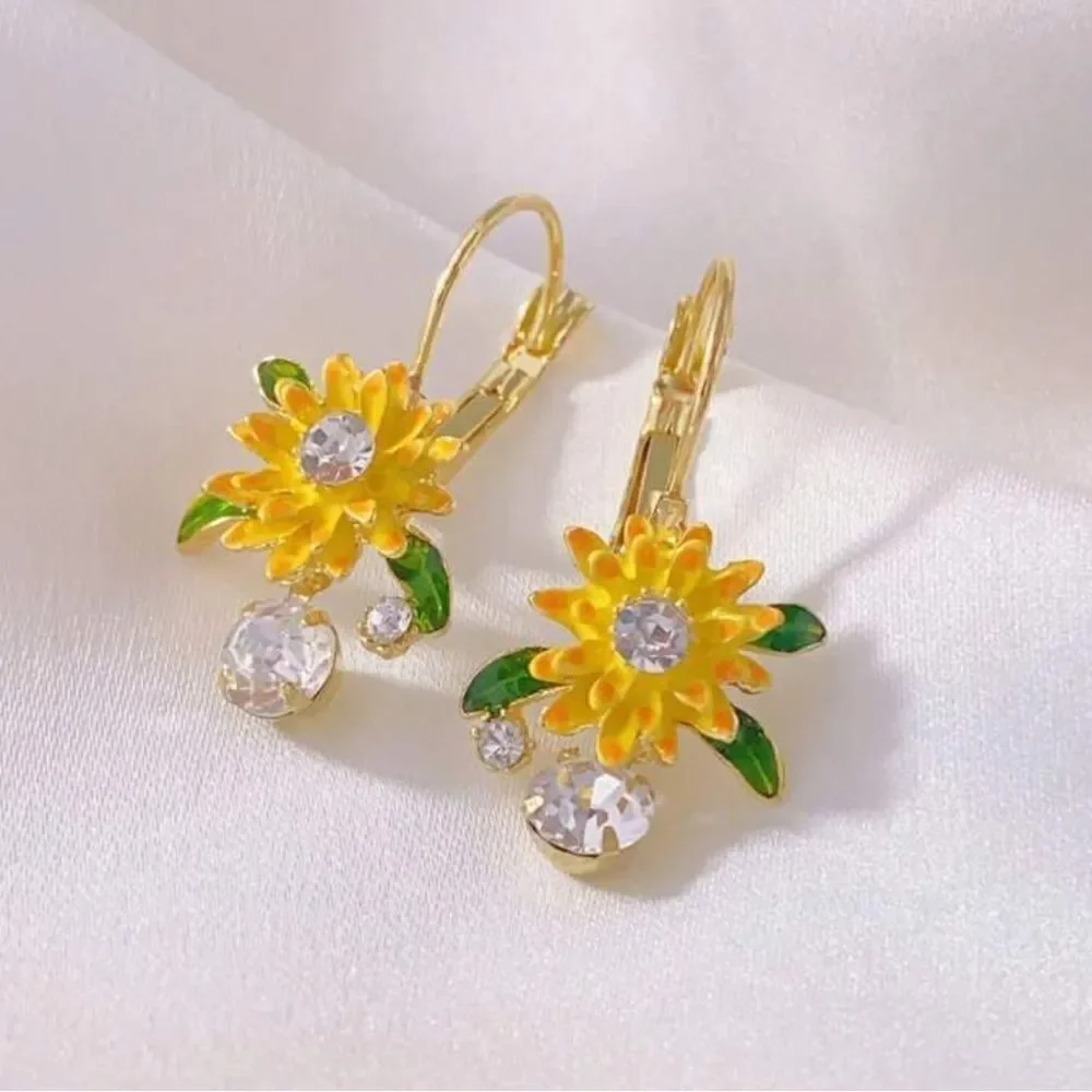 Bohemian hoop earrings N524